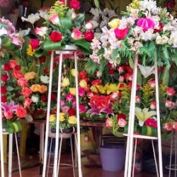 Floreria Diana