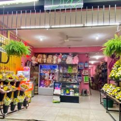 FlorerÍa Diaz