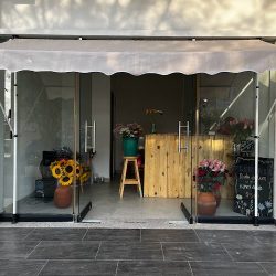 Florería Diente De León