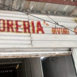 Florería Divino Salvador