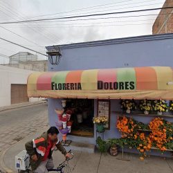 Floreria Dolores