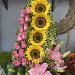 Florería “domy“