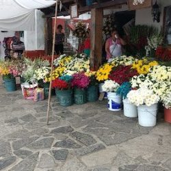 Florería Doña Elia
