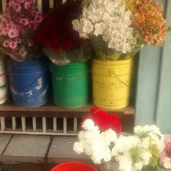 Floreria Doña Jose