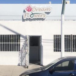 Floreria Dreamflowers