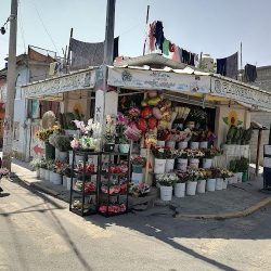 Florería Dulce Aroma