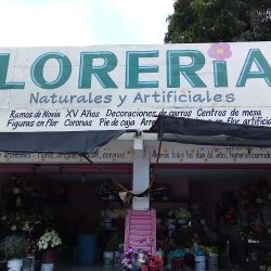 Florería Dulce María (el Tacotal)