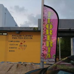Florería Dulces Rosas