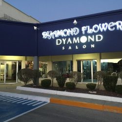 Florería Dyamond
