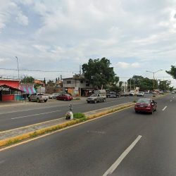 Floreria Ebenezer