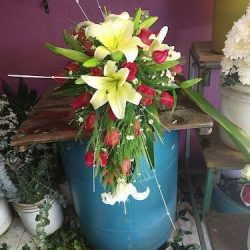 Floreria Eden