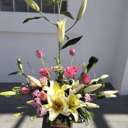 Florería Edy