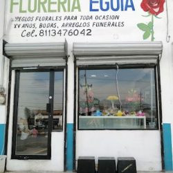 Florería Eguia Sucursal Sierra Real