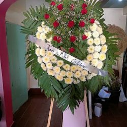Floreria El Angel