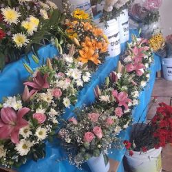 Floreria El Angelito