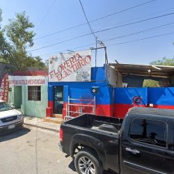 Floreria El Anturio
