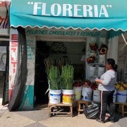 Florería "el Botoncito"