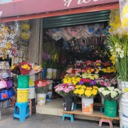 Florería "el Centro" San Felipe Del Progreso.