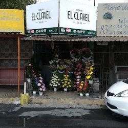 Florería El Clavel