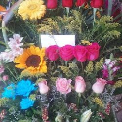 Floreria "el Clavel"