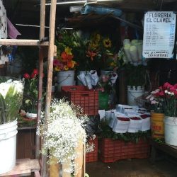 Floreria El Clavel