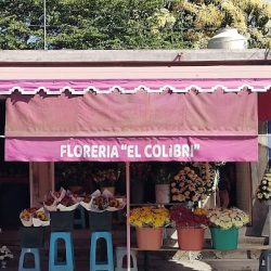 Florería El Colibrí