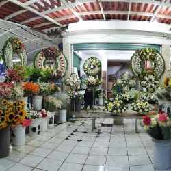 Florería El Crisantemo