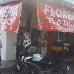 Florería El D'tallon