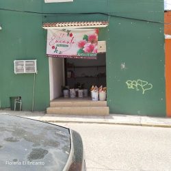 Floreria El Encanto