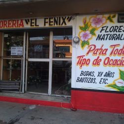 Florería "el Fénix"