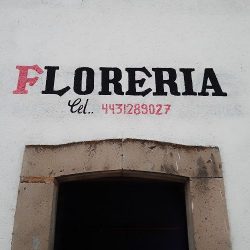 Florería "el Girasol"