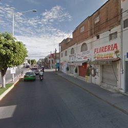 Floreria El Girasol
