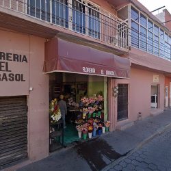 Florería El Girasol