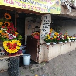 Florería El Girasol