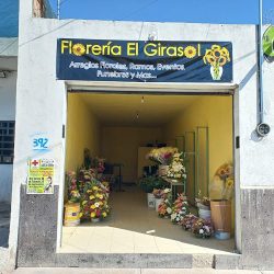Florería El Girasol