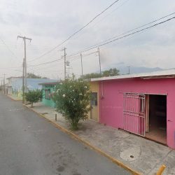 Floreria El Girasol