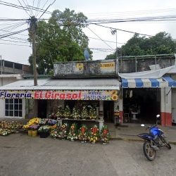Florería El Girasol