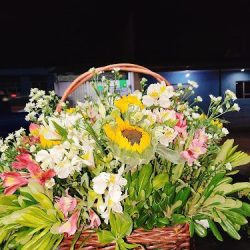 Florería El Girasol