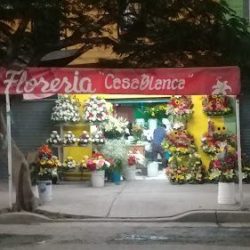Florería El Girasol