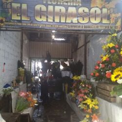Florería El Girasol