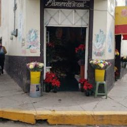 Floreria El Girasol