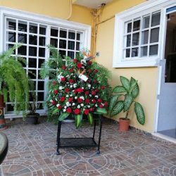 Florería El Girasol