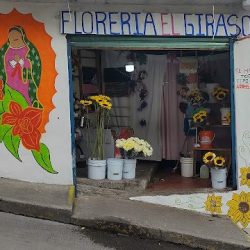 Florería El Girasol En Praderas De San Mateo 3 De Abril #31