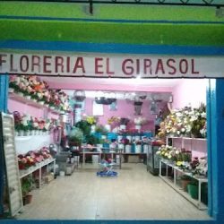 Floreria El Girasol Jalpa Zac.