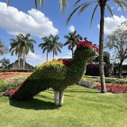 Florería El Jardín