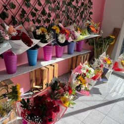 Florería “el Jardín De Maya”