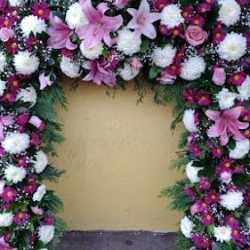 Florería El Jazmin