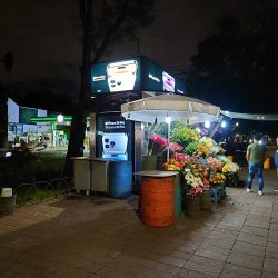 Floreria El Jirasol