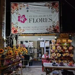 FlorerÍa El Lugar De Las Flores
