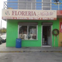 Floreria El "modelo"
